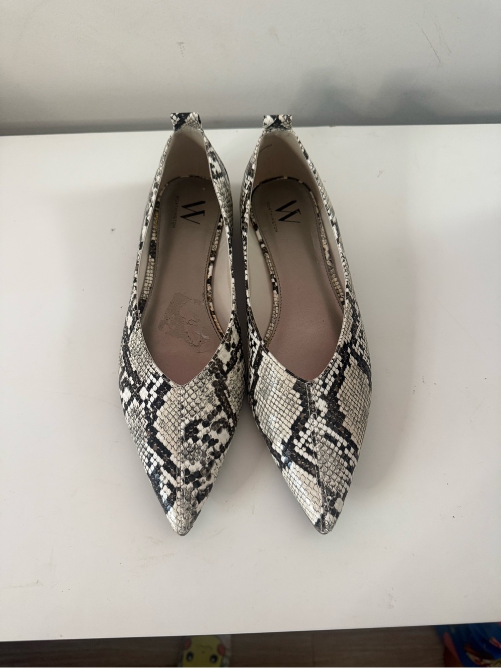 Pointed Toe Snake Print Flats in Black and Cream
